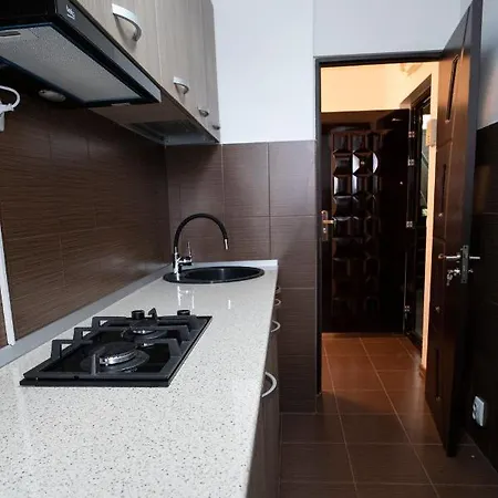 Apartment Garsoniera Lux Drumul Taberei